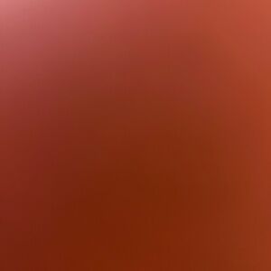 Meet your Posher, Cecilia